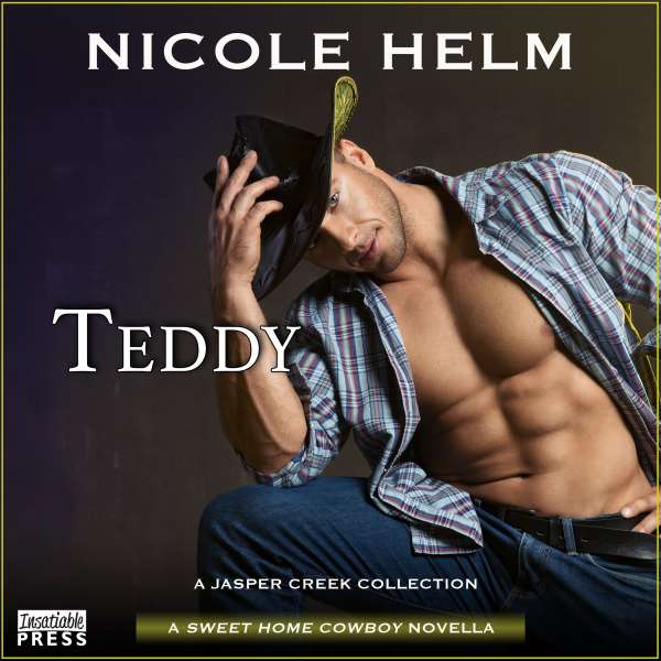 Teddy (Unabridged) von Nicole Helm